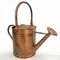 Gardenised 1 Gallon Galvanized Metal Watering Can with Removable Long Spout & Sprinkler Head for Indoor & Outdoor Use Ideal for Garden Flowers Potted Plants Houseplants Modern Home Accessories